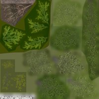 Asset preview